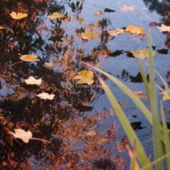 Vijvernet 6 X 100 Meter -Exporteren Lente Hof Winkel 04300201 1 0 999x663 2