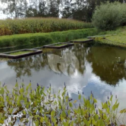 EPDM Vijverfolie 11.66 Meter Breed (1mm) 8 EPDM Vijverfolie 11.66 Meter Breed (1mm) -Exporteren Lente Hof Winkel 10092007012 0 2592x1944 2 scaled