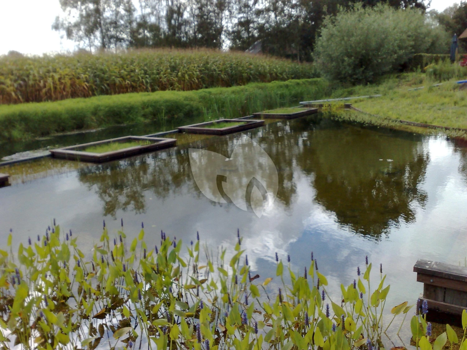 EPDM Vijverfolie 11.66 Meter Breed (1mm) 5 EPDM Vijverfolie 11.66 Meter Breed (1mm) - Afbeelding 3