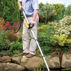 Exporteren Lente Hof Winkel -Exporteren Lente Hof Winkel 17521240 1 0 533x800