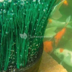 Oase OxyTex CWS Set 2000 Luchtpomp -Exporteren Lente Hof Winkel 50275 3 0 776x421