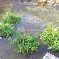 Drijvend Planteneiland Rond -Exporteren Lente Hof Winkel SG38020B 0 709x445