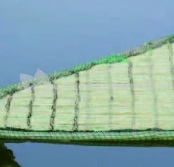 Drijvend Planteneiland