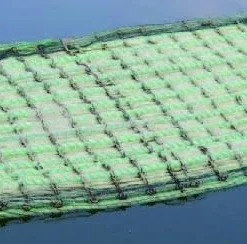 Drijvend Planteneiland Rechthoek