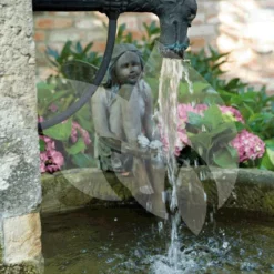 OASE Aquarius Universal Classic 440 Outdoor Fonteinpomp -Exporteren Lente Hof Winkel aquarius universal classic sfeerfoto 1 0 666x1000 3