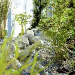 OASE Beekloopelement Zand Rechterbocht Element -Exporteren Lente Hof Winkel beekloop 50413 2 0 396x597 1