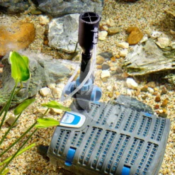 OASE Filtral UVC 3000 Onderwaterfilter -Exporteren Lente Hof Winkel filtral uvc 300 0 onderwaterfilter 5 0 1000x1000