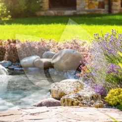 OASE Filtral UVC 6000 Onderwaterfilter 11 OASE Filtral UVC 6000 Onderwaterfilter -Exporteren Lente Hof Winkel filtral uvc 6000 onderwaterfilter 1 0 1000x668