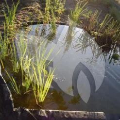 Nature Flexibele Borderrand 14 Cm X 15 M -Exporteren Lente Hof Winkel flexibele borderrand 3 0 1000x667 1