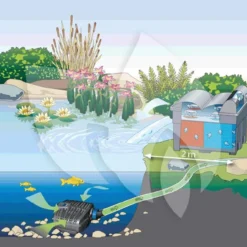 Oase AquaMax Eco Classic 8500 Vijverpomp -Exporteren Lente Hof Winkel oase aquamax eco classic 8500 vijverpomp 4010052510996 3 0 1000x630