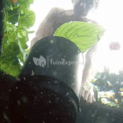 OASE AquaSkim 40 Skimmer Vijver -Exporteren Lente Hof Winkel oase aquaskim 40 skimmer 56907 4 0 411x549