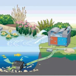 Oase BioSmart 18000 Doorstroomfilter -Exporteren Lente Hof Winkel oase biosmart uvc 16000 doorstroomfilter 57377 1 0 905x535 1