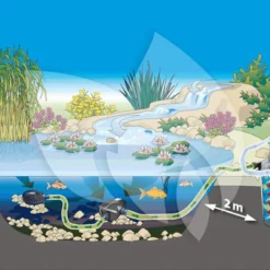 Oase FiltoClear 6000 Vijverfilter -Exporteren Lente Hof Winkel oase filtoclear 6000 vijverfilter 4010052559988 4 0 1000x614