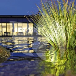 OASE LunAqua 3 LED Set 3 Vijververlichting -Exporteren Lente Hof Winkel oase lunaqua 3 led set 1 vijververlichting 57034 3 0 1000x667 1