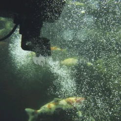 OASE SwimSkim 50 Skimmer Vijver -Exporteren Lente Hof Winkel oase swimskim 5 skimmer 50170 4 0 549x411