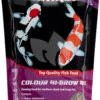 SaniKoi Colour Hi-grow Mix Visvoer 6mm - 3 Liter -Exporteren Lente Hof Winkel sanikoi colour hi grow mix visvoer 6mm 3 liter 0 1248x1964