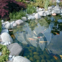 Ubbink FiltraClear 2500 PlusSet Vijverfilter -Exporteren Lente Hof Winkel ubbink filtraclear 2500 plusset vijverfilter 3 0 750x1000