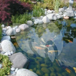 Ubbink FiltraClear 4500 PlusSet Vijverfilter 9 Ubbink FiltraClear 4500 PlusSet Vijverfilter -Exporteren Lente Hof Winkel ubbink filtraclear 4500 basicset doorstroomfilter 2 0 750x1000