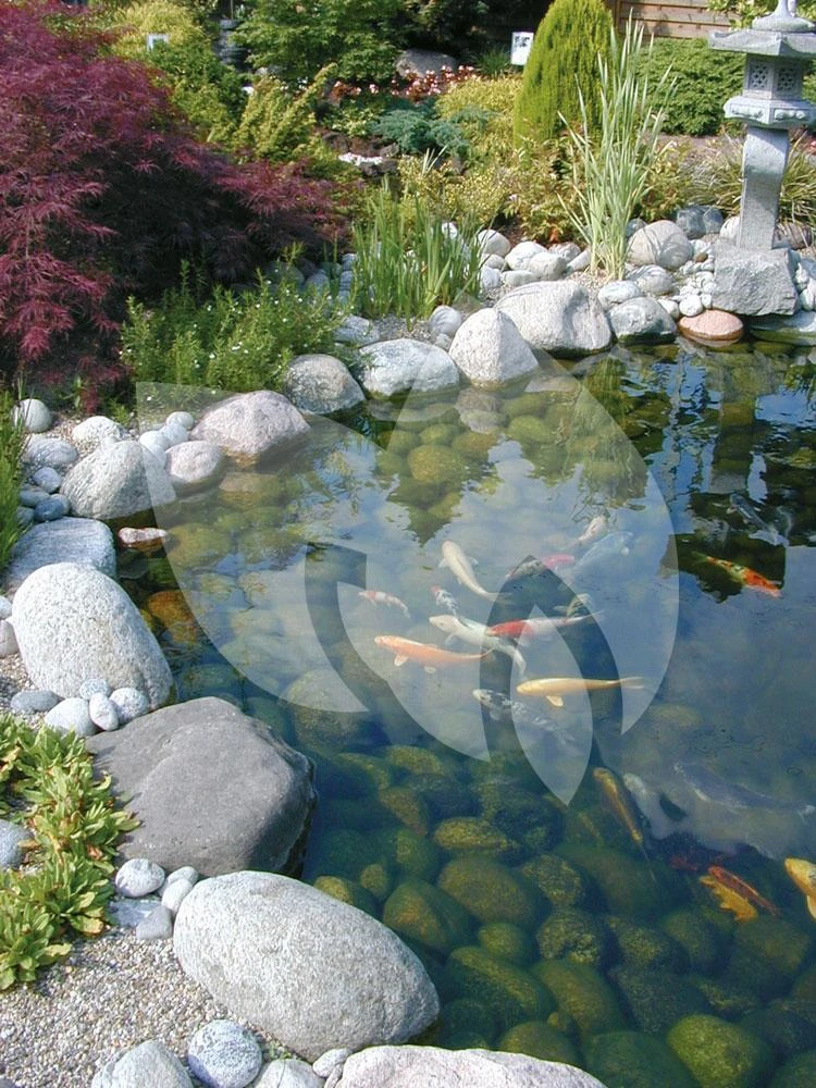 Ubbink FiltraClear 4500 PlusSet Vijverfilter 6 Ubbink FiltraClear 4500 PlusSet Vijverfilter - Afbeelding 4