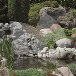 Ubbink FiltraPure 2000 Vijverfilter -Exporteren Lente Hof Winkel ubbink filtrapure 2000 vijverfilter 2 0 1000x665