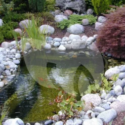 Ubbink FiltraPure 7000 Vijverfilter -Exporteren Lente Hof Winkel ubbink filtrapure 4000 vijverfilter 2 0 750x1000 1