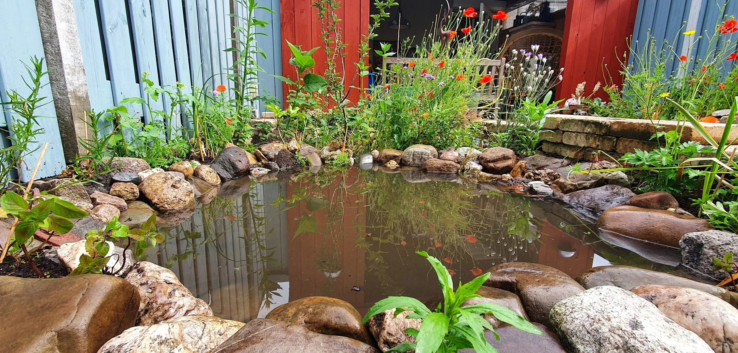 Exporteren Lente Hof Winkel -Exporteren Lente Hof Winkel vijver header 1a scaled 1